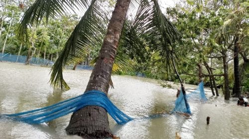 জোয়ারের পানিতে ভেসে গেল নিঝুমদ্বীপের অর্ধকোটি টাকার মাছ