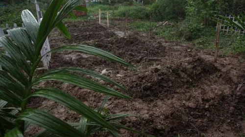 দাফনের পরই কবর থেকে লাশ উধাও, এলাকায় আতঙ্ক