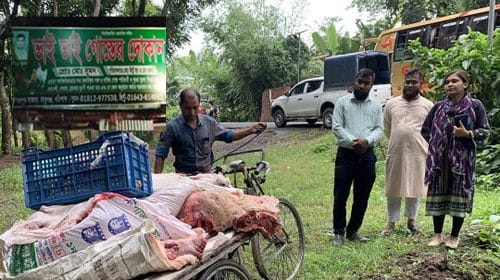 মরা গরু জবাই করে বিক্রি করায় বিক্রেতার কারাদণ্ড