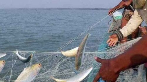 বরিশালে ইলিশ ধরায় ৬১ জেলের কারাদণ্ড