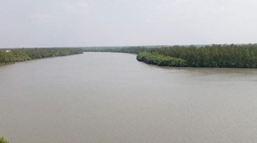 সুন্দরবন দিয়ে ৭০ ভারতীয়কে বাংলাদেশে ঠেলে দিলো বিএসএফ
