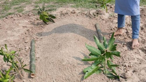 ৫ মাসেও সাহায্যের কাগজে স্বাক্ষর করেনি উপাচার্য অতঃপর ববি শিক্ষার্থীর মৃত্যু