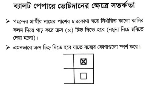 যেভাবে দিতে হবে ডাকসুর ভোট