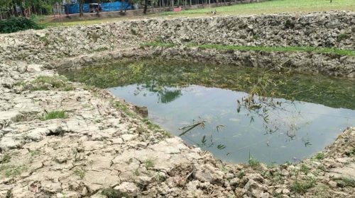 জমির বিরোধ: মিথ্যা চাঁদাবাজির মামলায় ফাঁসানো হলো কেন্দ্রীয় ছাত্রদল নেতাকে