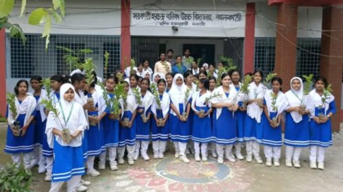 ঝালকাঠিতে তারেক রহমানের ২৫ কোটি বৃক্ষরোপণ কর্মসূচি বাস্তবায়নে চারা বিতরণ