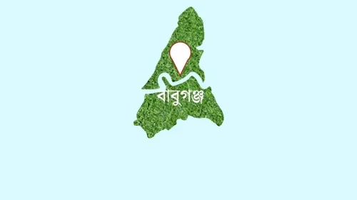 বাবুগঞ্জে একযোগে ৫ ইউনিয়নের প্রশাসনিক কর্মকর্তা বদলি