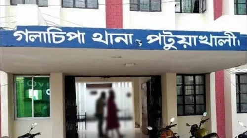 গলাচিপায় প্রবাসীর স্ত্রীর কোলে নবজাতক, মামলার আসামি শ্বশুর