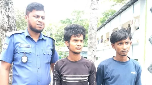 বানারীপাড়ায় গাঁজাসহ  আটক দুই যুবককে মোবাইল কোর্টে সাজা
