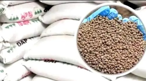বরিশাল সদরে দুই ইউনিয়নে দুই ভাইয়ের সার ডিলারশিপ