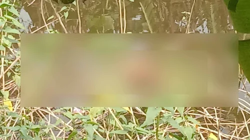 বরিশালে ডোবা থেকে বৃদ্ধের মরদেহ উদ্ধার